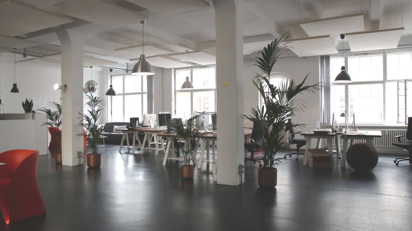 An open studio office with plants, desks and large windows